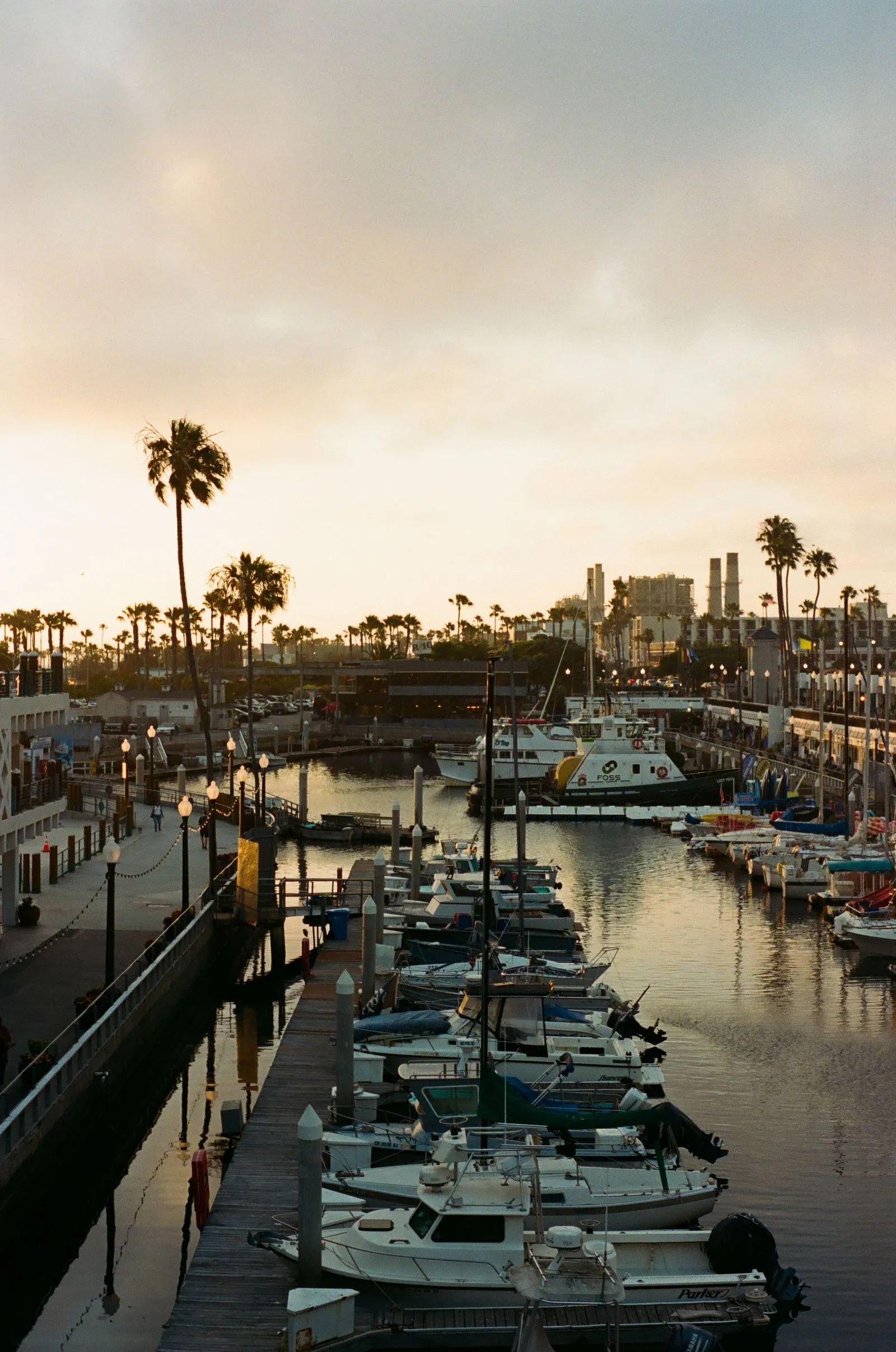 Boats docked at a harbor at sunset